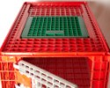 FEREX Prepravka na hydinu D - 97 x 58 x 42 cm